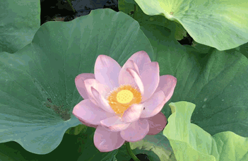 鞍山水處理設備廠家：水處理產(chǎn)品的多樣性